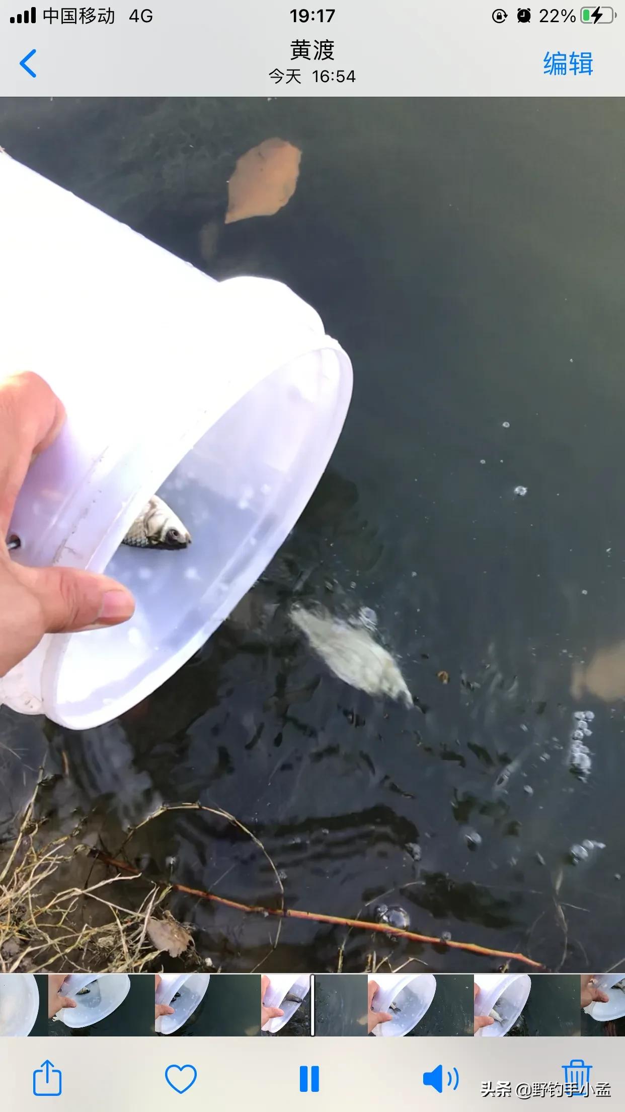 贼喊抓贼，是谁断送了野钓资源？有些钓鱼人要长点心吧