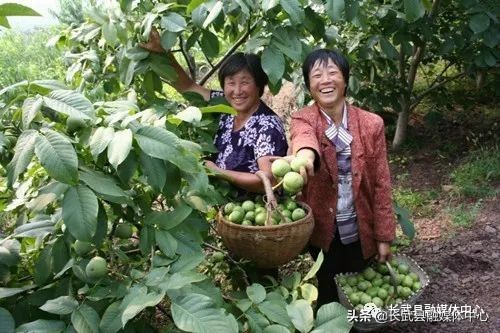 大美长武全部视频,把大好河山收藏