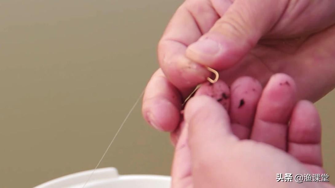 钓黑坑用红虫可以不可以,钓黑坑为啥不让用红虫