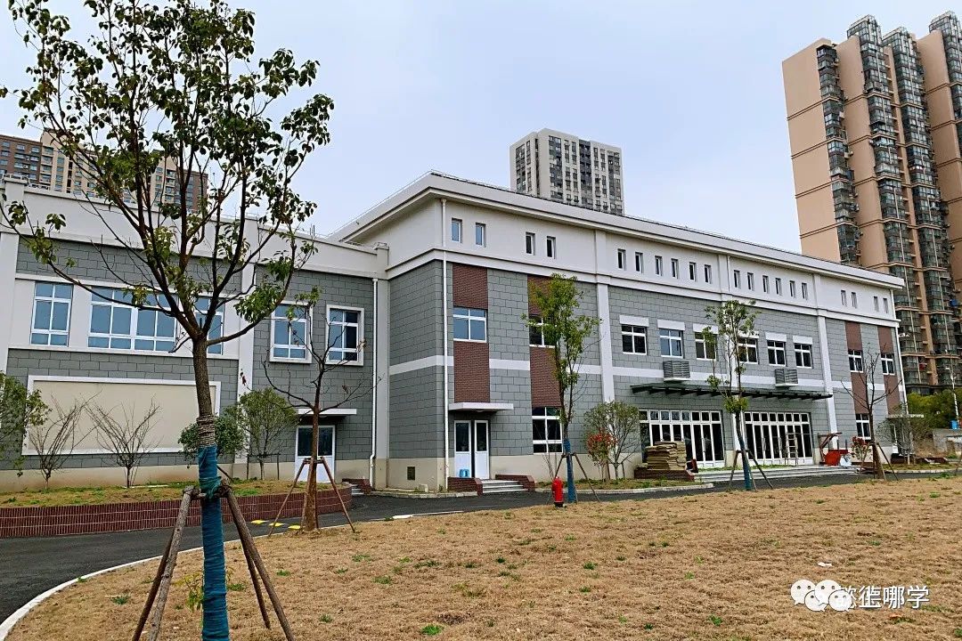 浦东教育招生官网,浦东新区教育