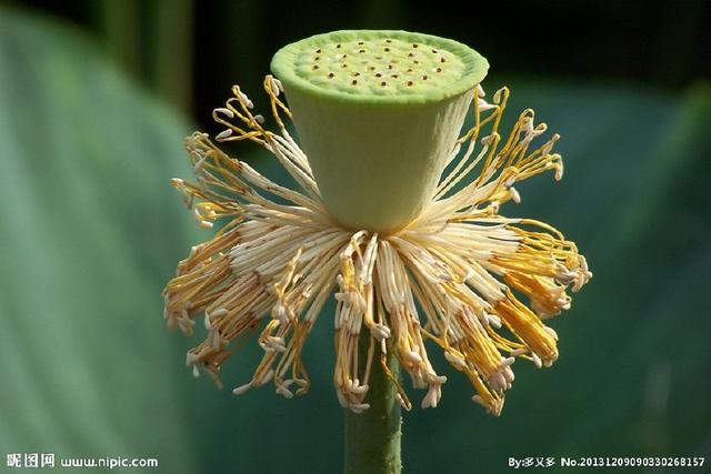 舌尖上的美食儿时的味道找了好久,有一种美食叫做童年回忆
