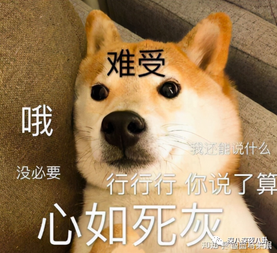 全员恶人系列推荐,全员恶人霸气瞬间