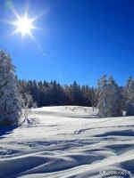 收藏各省老酒,收藏全国各地的牌子