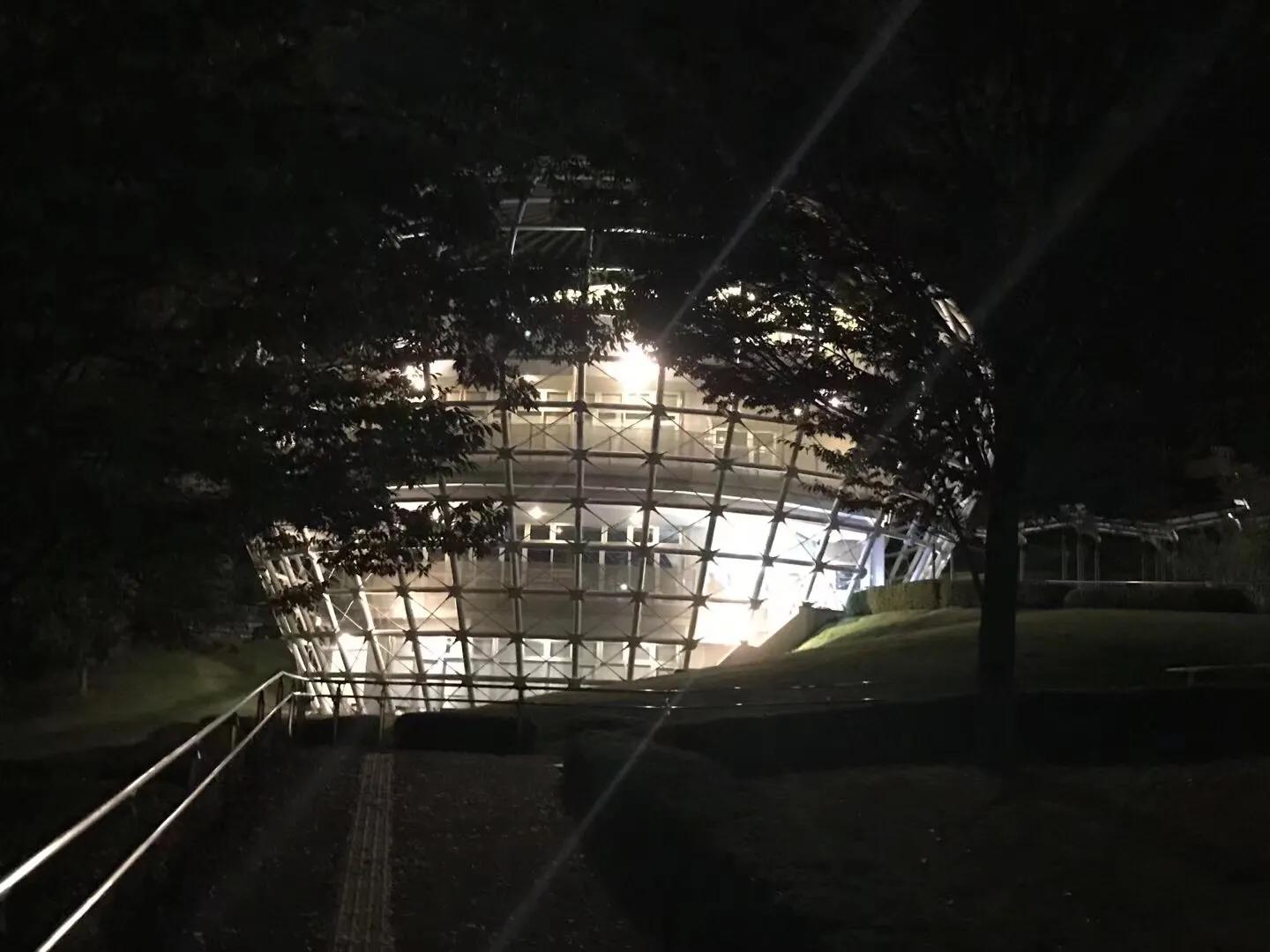 日本疫情举行聚会,日本民众疫情聚会