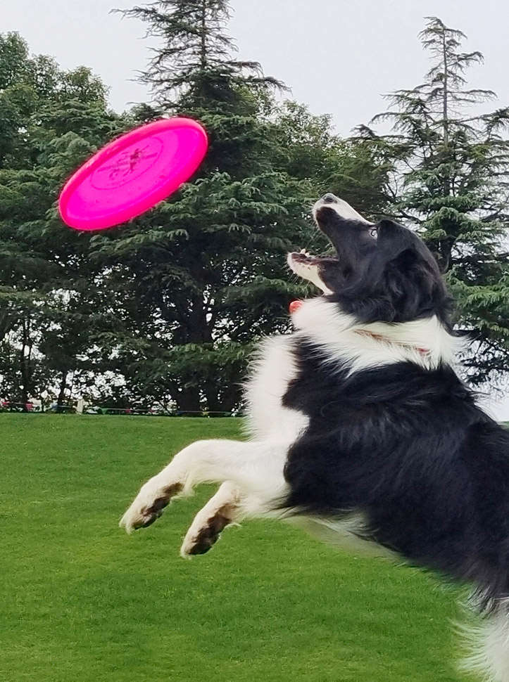 vivox60测评三大优缺点是什么,vivox60手机怎么样有哪些优势