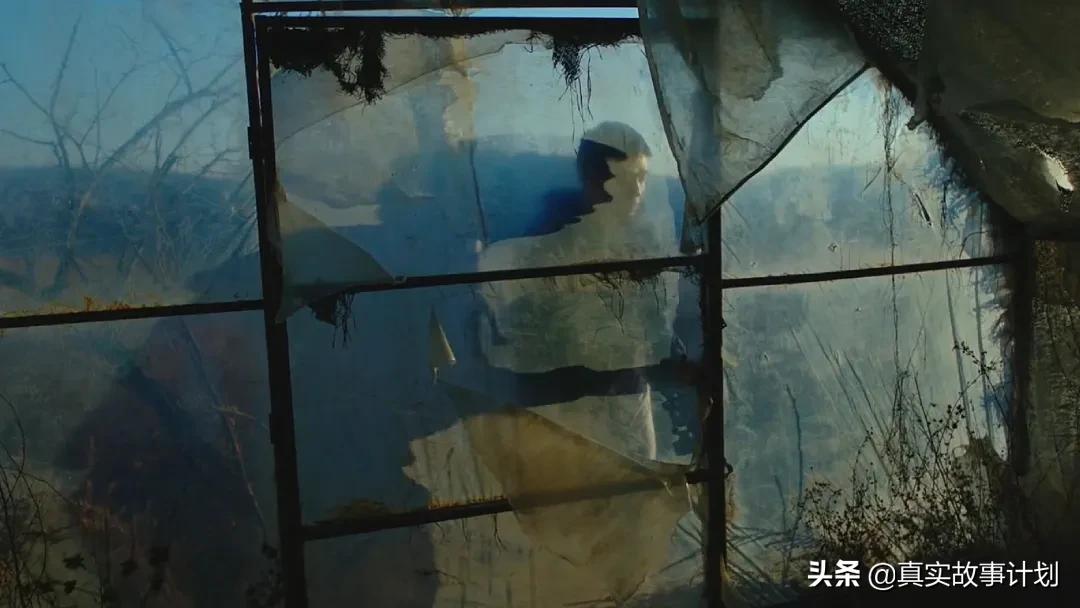 我在社区帮忙的一天,我在社区当社工