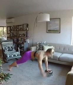 人鱼线马甲线分别是什么样子的,人鱼线和马甲线是一样的东西吗