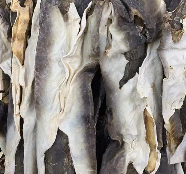 干货大全图,干货大全电子版