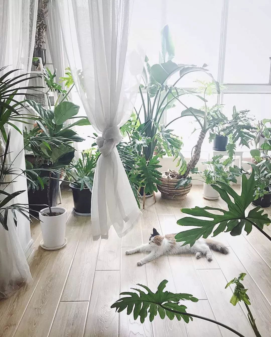 小夫妻98㎡家意外走红！登北京地铁广告，这个家才是都市里的奢侈