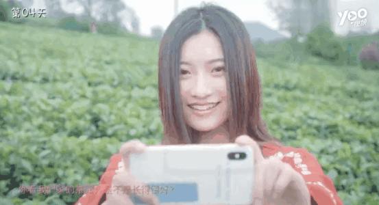 微信卖茶女套路有多深,卖茶女套路经典语录有哪些