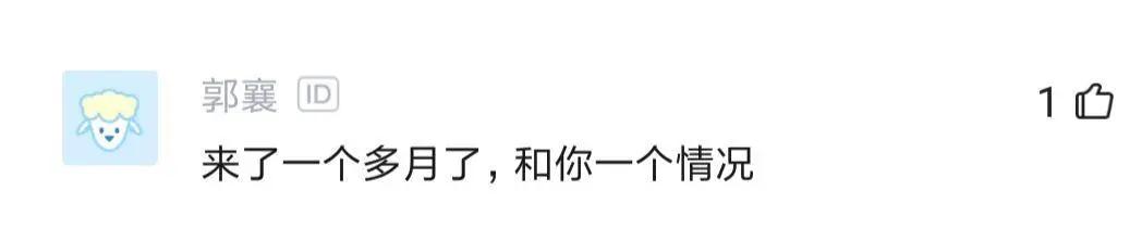 程序员入职字节,黑马程序员入职字节