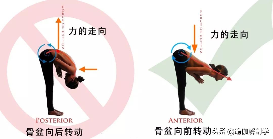 练瑜伽不会盘腿怎么办,练瑜伽髋不正位怎么办