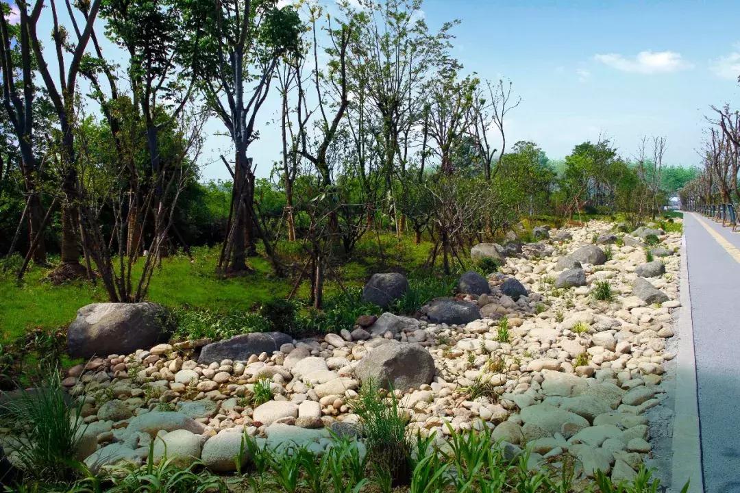 一石百景寸石丈情