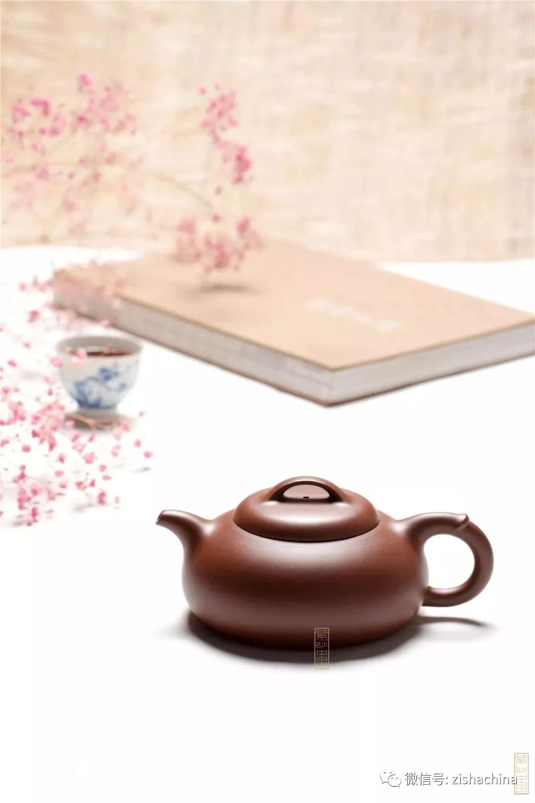 同卵双胞胎是同性还是异性,同卵双胞胎的dna一样吗