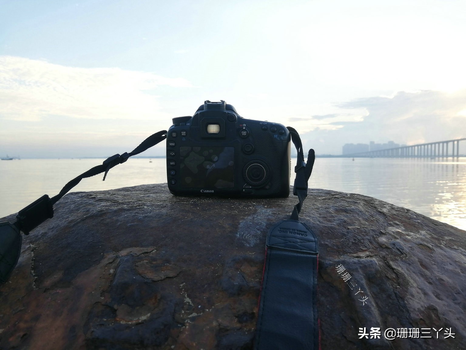 湛江鼎龙湾4期海景房优缺点,湛江旅游住宿海景房推荐