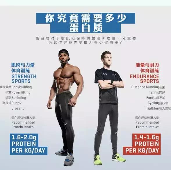 增肌蛋白粉的功效与禁忌 (蛋粉怎样吃才能增肌)