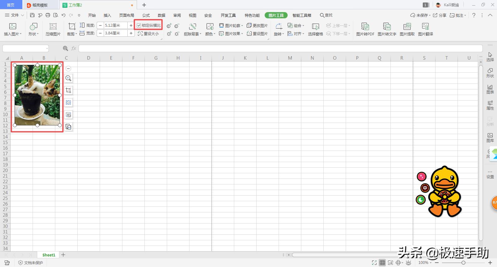 excel怎么打印像素好的证件照,excel怎么用照片纸打印证件照