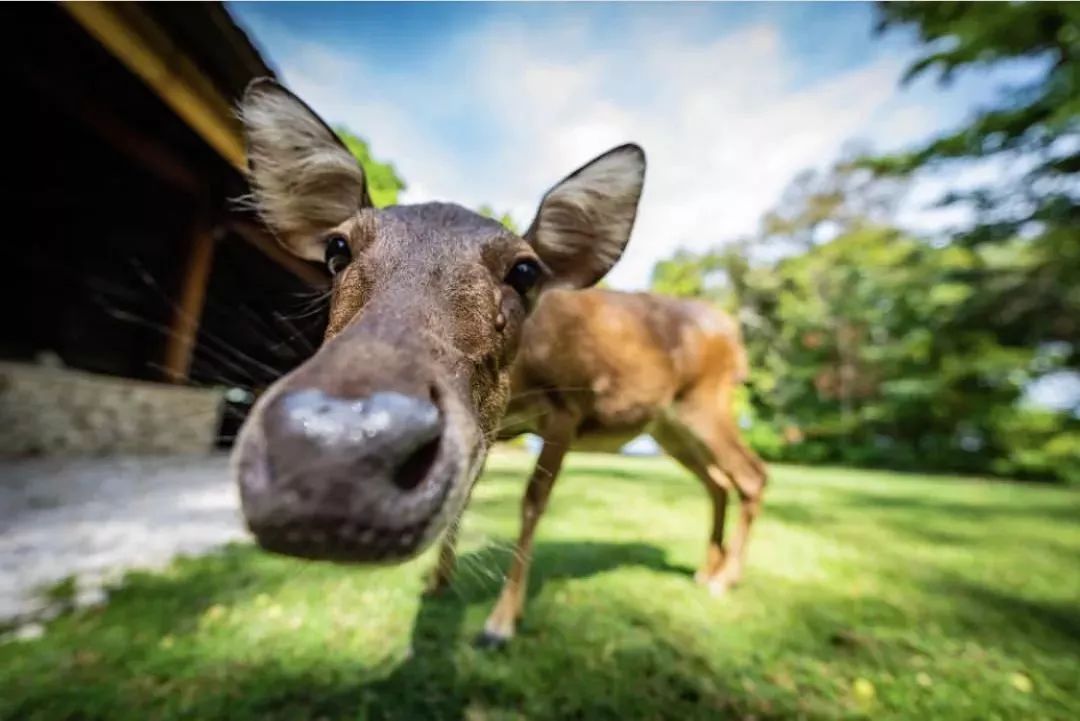 安缦酒店住宿攻略,安缦避世酒店