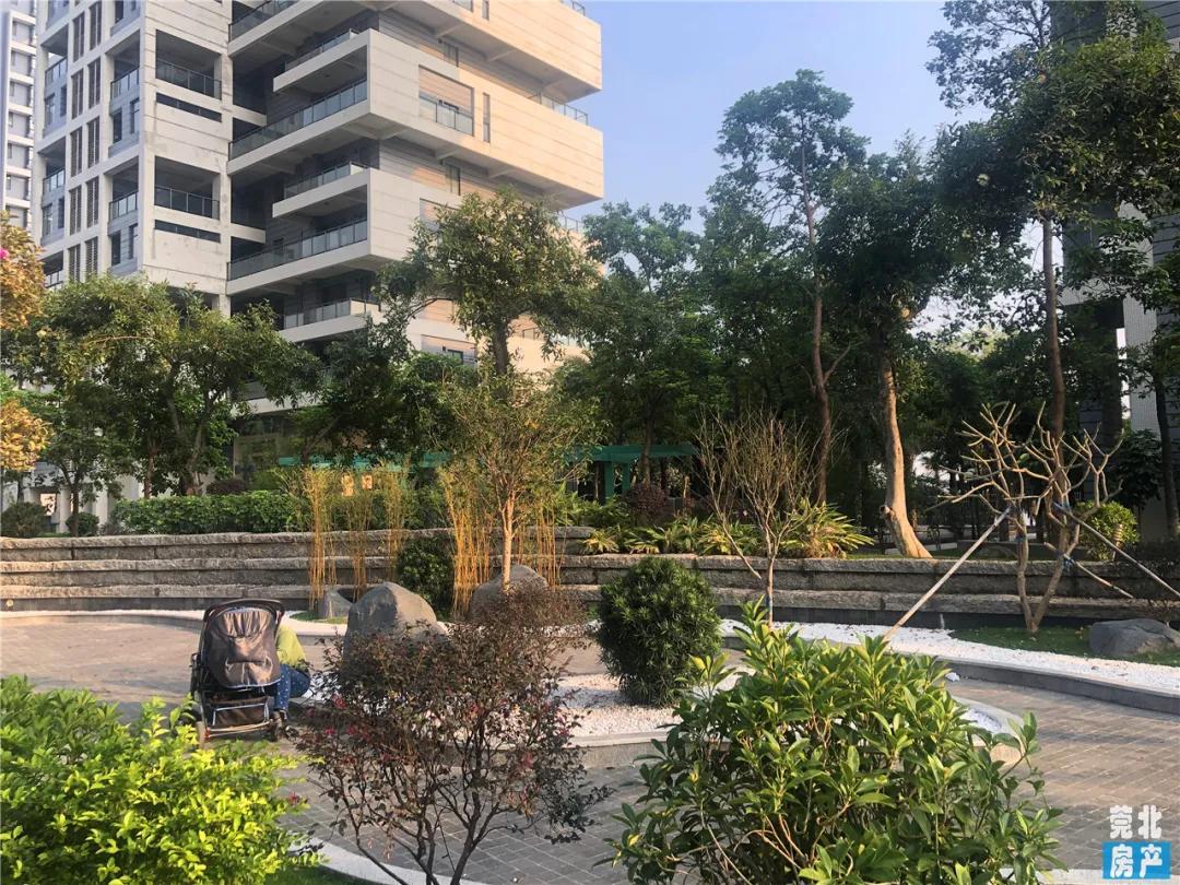 园洲东江府楼盘,惠州园洲东江府房价最新