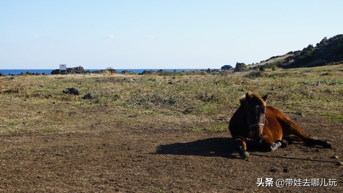 5天小长假国内飞海外,小长假出境游