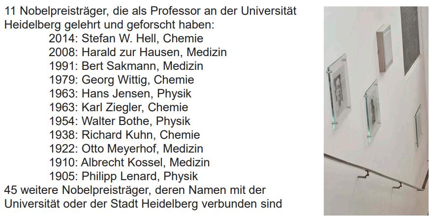 德国高校巡礼——海德堡大学