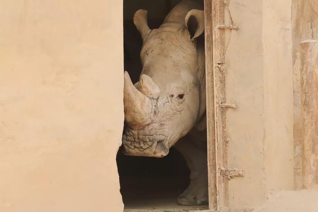 在动物园散步才是正经事|暴走福州
