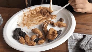 一张图了解猫咪的超能力,一张图看懂猫咪血气分析