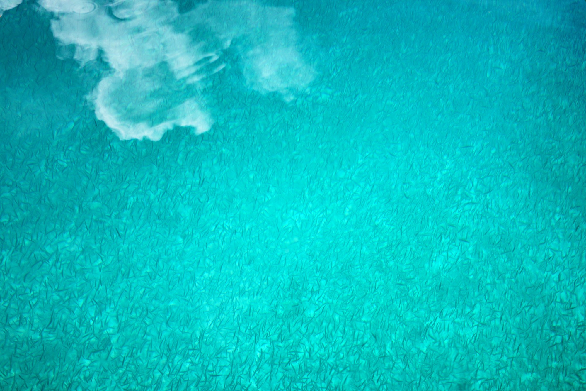 一定是特别的缘分——帕劳，再遇见「周若雪Patty」·上