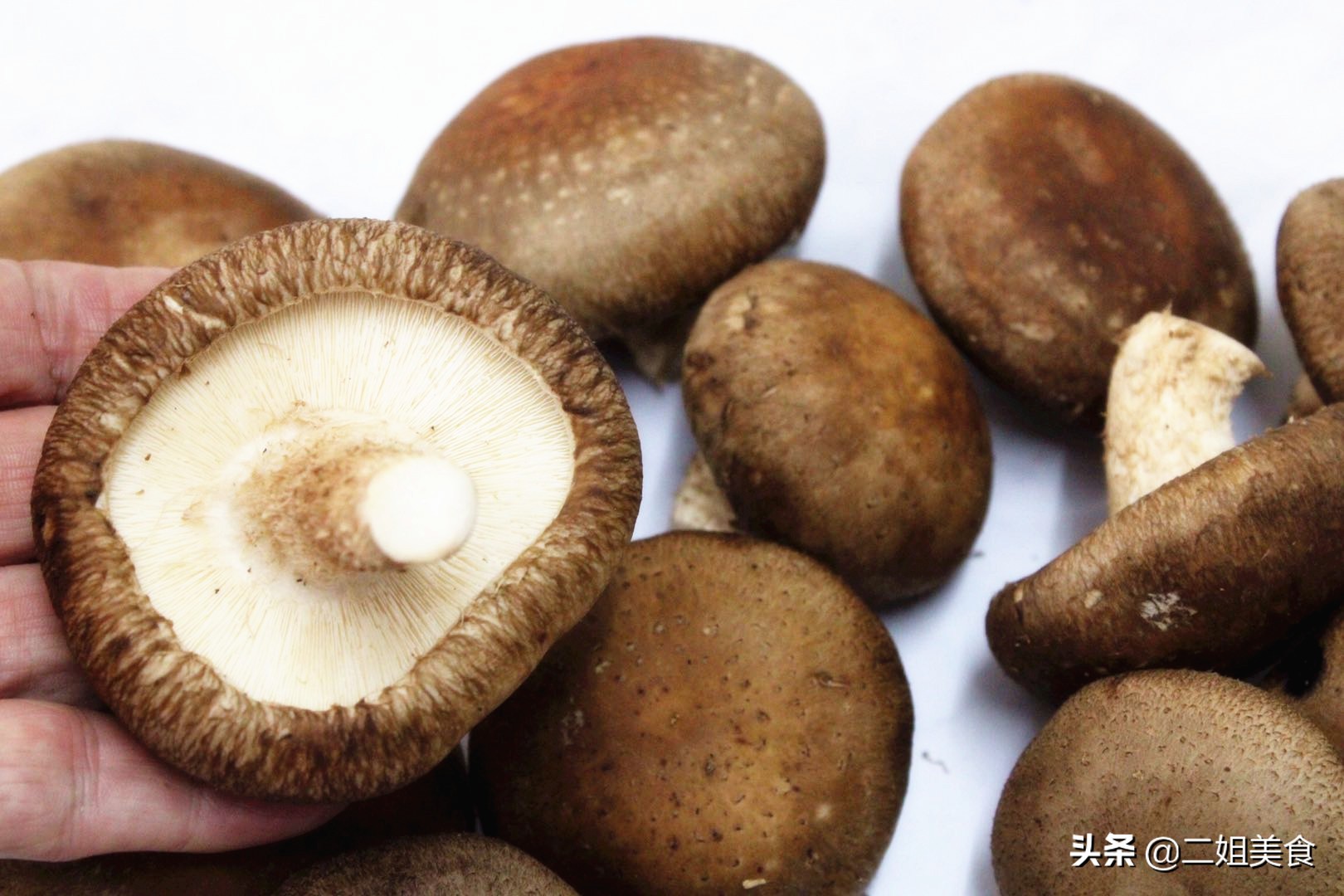 挑新鲜香菇,鲜香菇怎么选