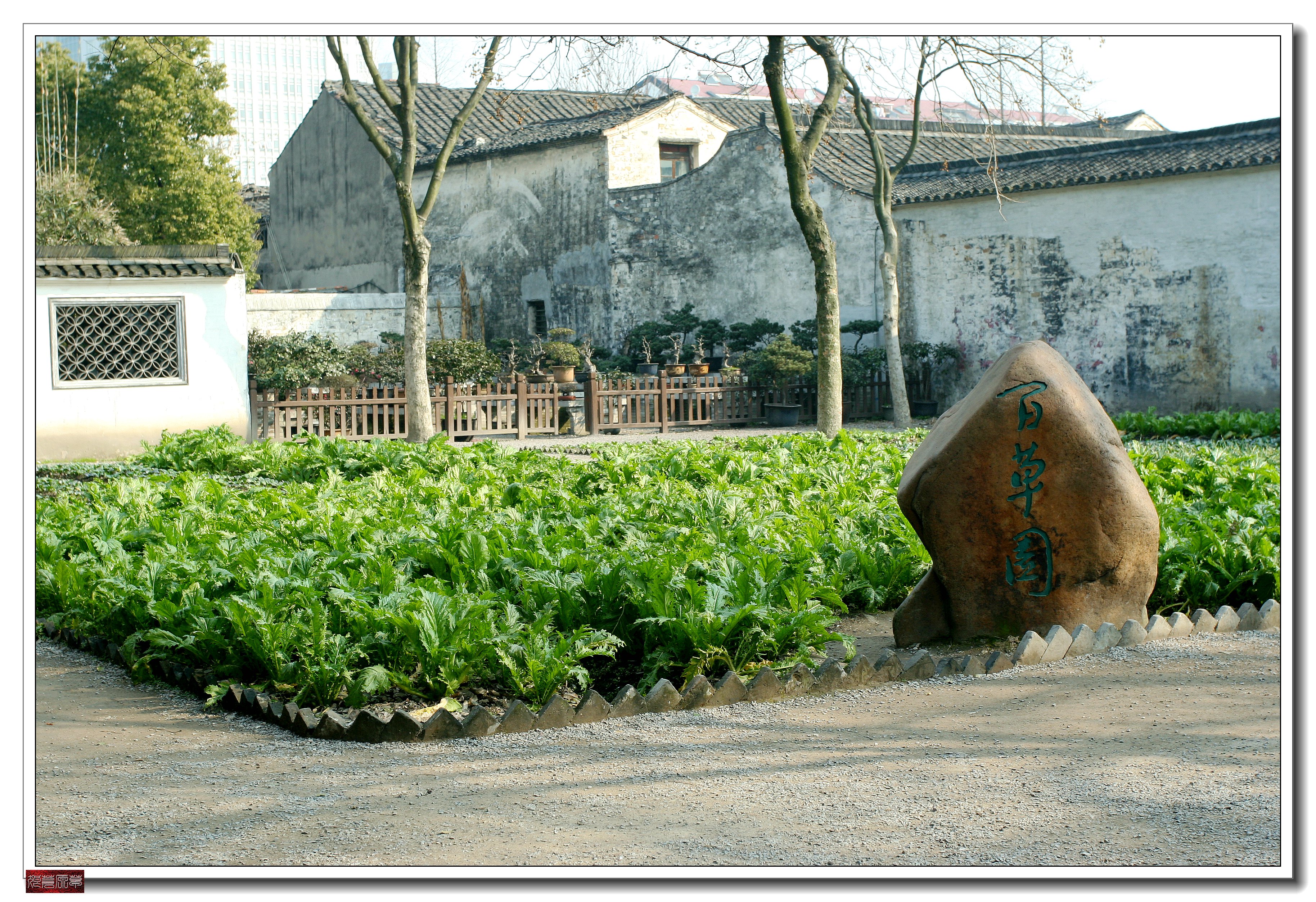 鲁迅故里户外采风活动,鲁迅故里绍兴一日游
