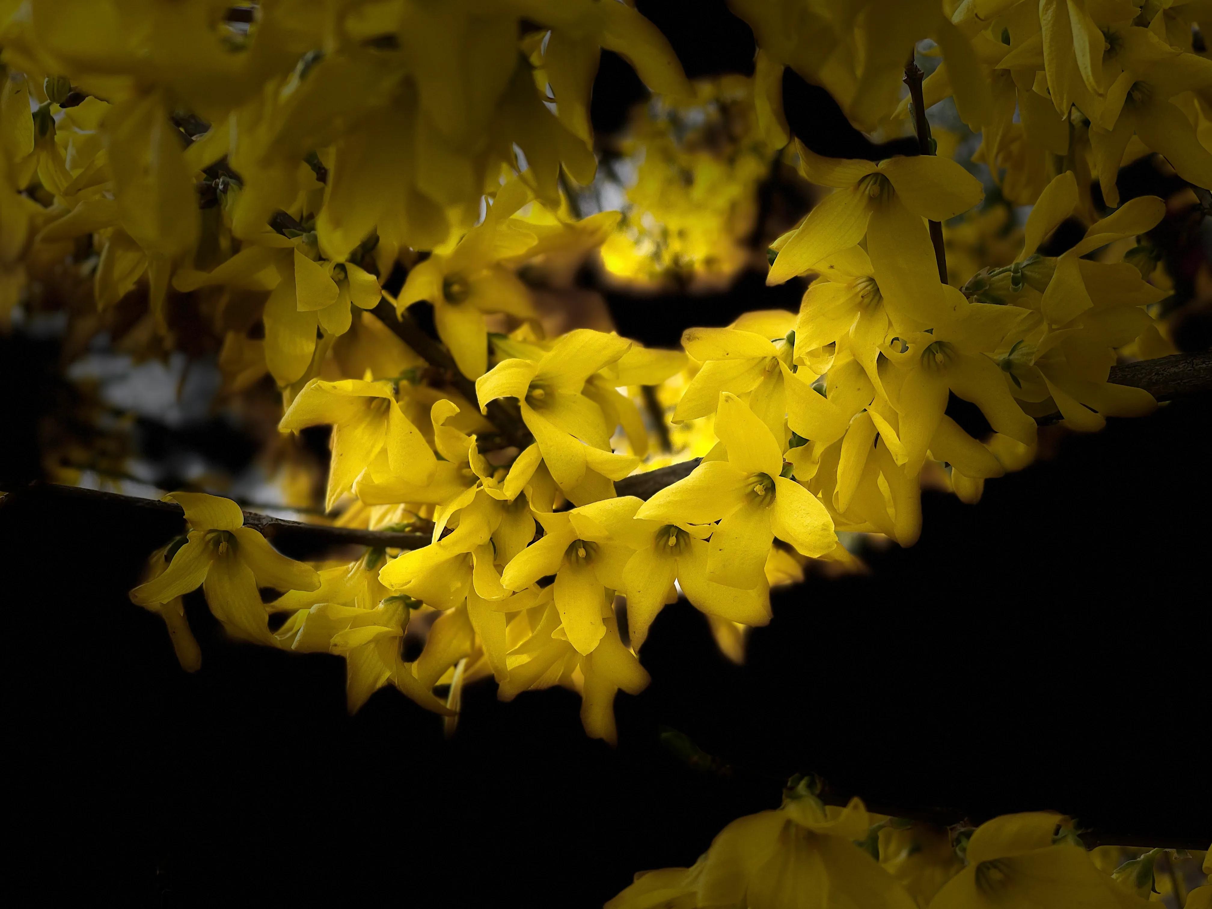 抵押贷款到期没钱归本怎么解决,银行贷款到期了如何续期