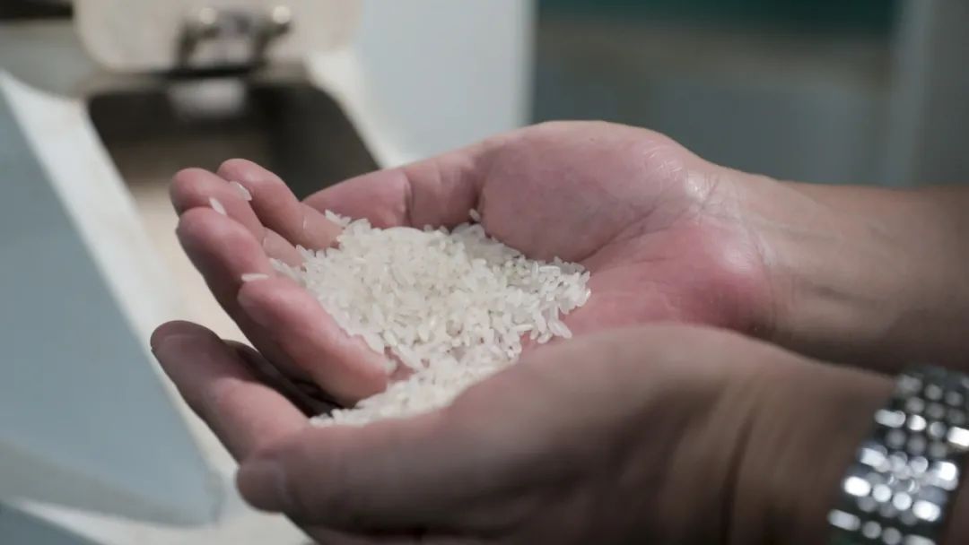 离开体制后创业,离开体制创业成功的企业家