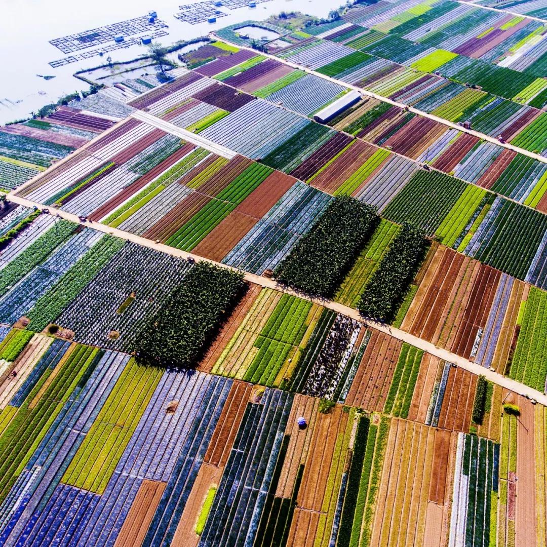 南北相济，中国580多个“菜篮子”是如何炼成的？