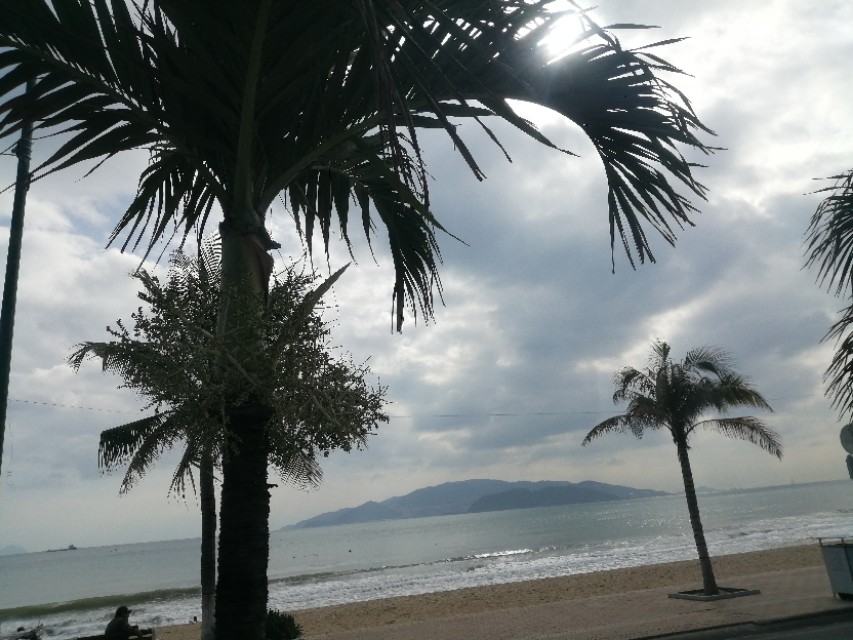 站在楼顶看芽庄全景,站在国门看越南