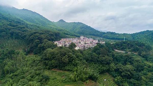 洋畲村旅游攻略,福建畲乡旅游景点