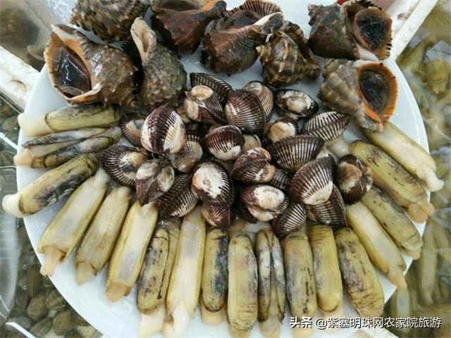 天津滨海新区吃海鲜渔村,天津滨海吃皮皮虾