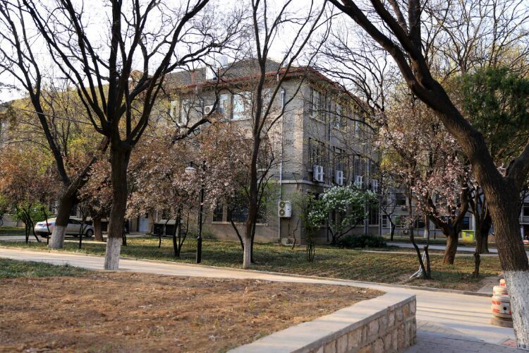 百年山东看青岛千年齐鲁逛青州,山东大学趵突泉景区