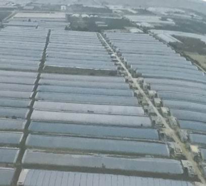 「社会扫描•村庄」西埠前村,那个有理想的小瓦匠