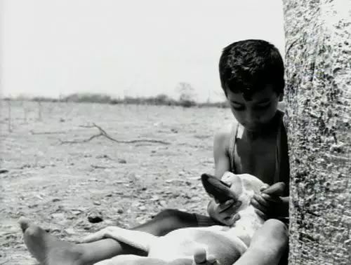 感动无数人的冷门佳片电影解说,这些高分经典好片每年刷十遍