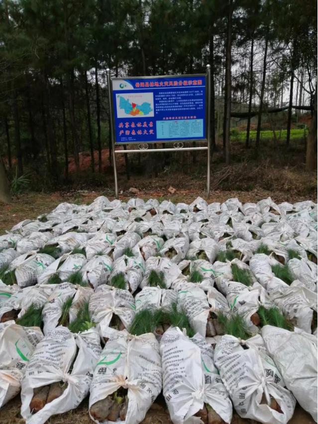 鑼傛簮鏋椾笟鏈夐檺璐ｄ换鍏徃,鑼傛簮鏋椾笟鏈夐檺鍏徃