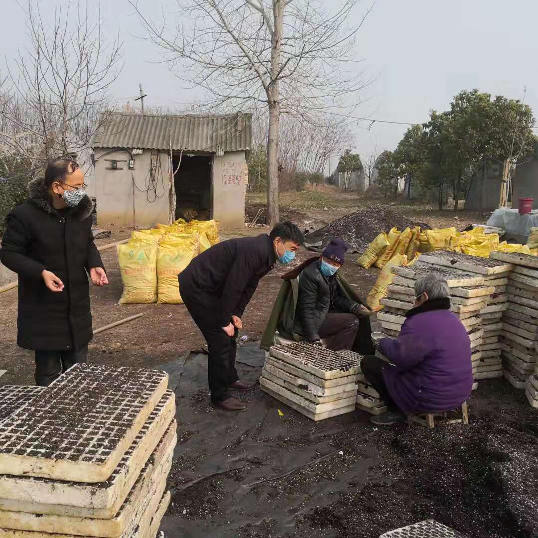 唐州战“疫”志丨唐河*草烟**人挺起行业肩扛社会责任的脊梁