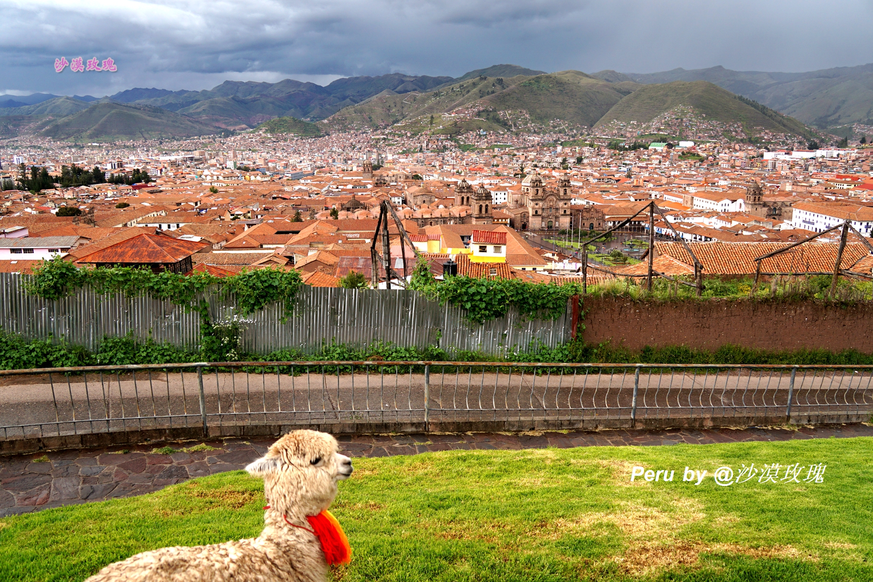 秘鲁国菜塞维切图片,秘鲁国菜十大名菜品尝