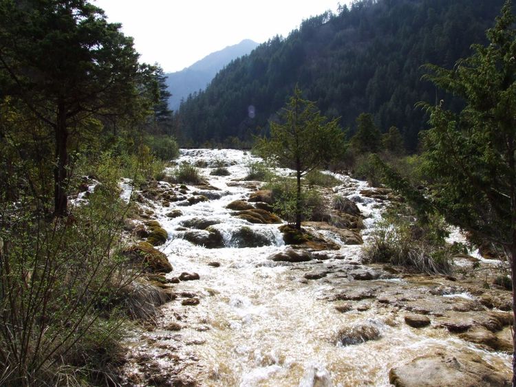 九寨沟最美的十个景点,九寨沟最美的景点排名前十
