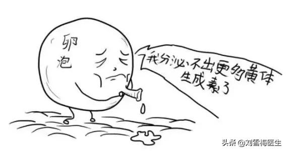 内分泌失调会影响发育吗,内分泌失调是否影响排卵