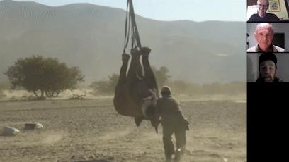 潜艇里杀蟑螂、人类猫语十级，今年的搞笑诺贝尔奖来了