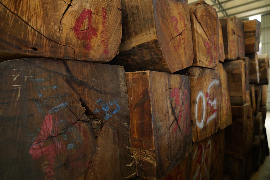 大果紫檀缅甸花梨图片,大果紫檀缅甸花梨价格