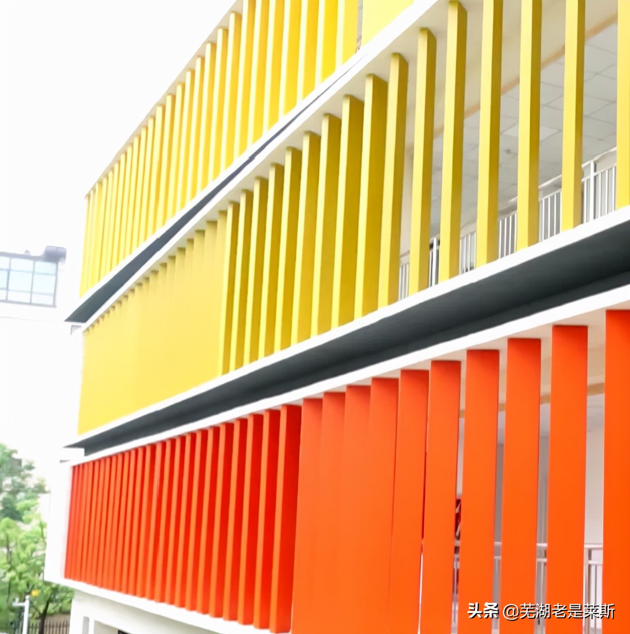 实地探访！芜湖新学校环境、师资大曝光