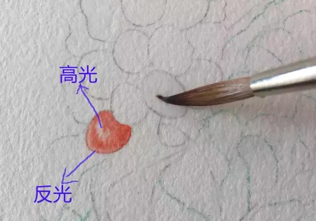 水彩密密麻麻的树叶怎么画,水彩画教程入门叶子