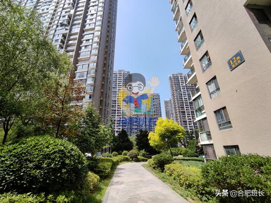 滨湖世纪城徽杰苑便宜,滨湖二手房急售哪家靠谱