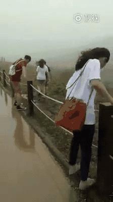 搞笑沙雕图动图,2019沙雕动图合集